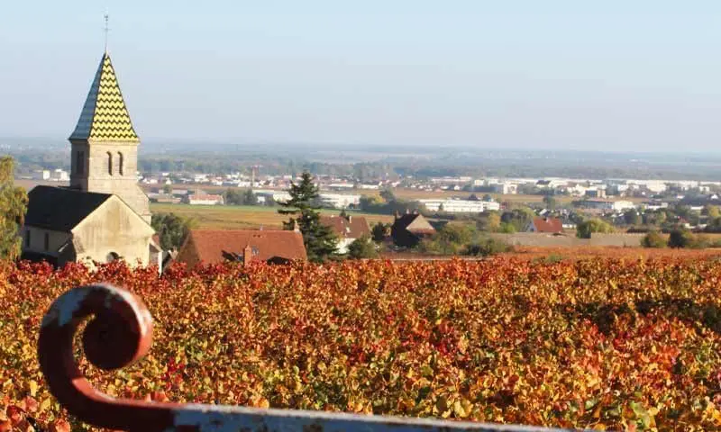 Promoteur local Bourgogne Franche Comté